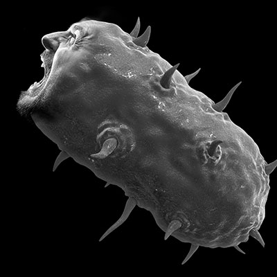 personified pathogen photoshop work