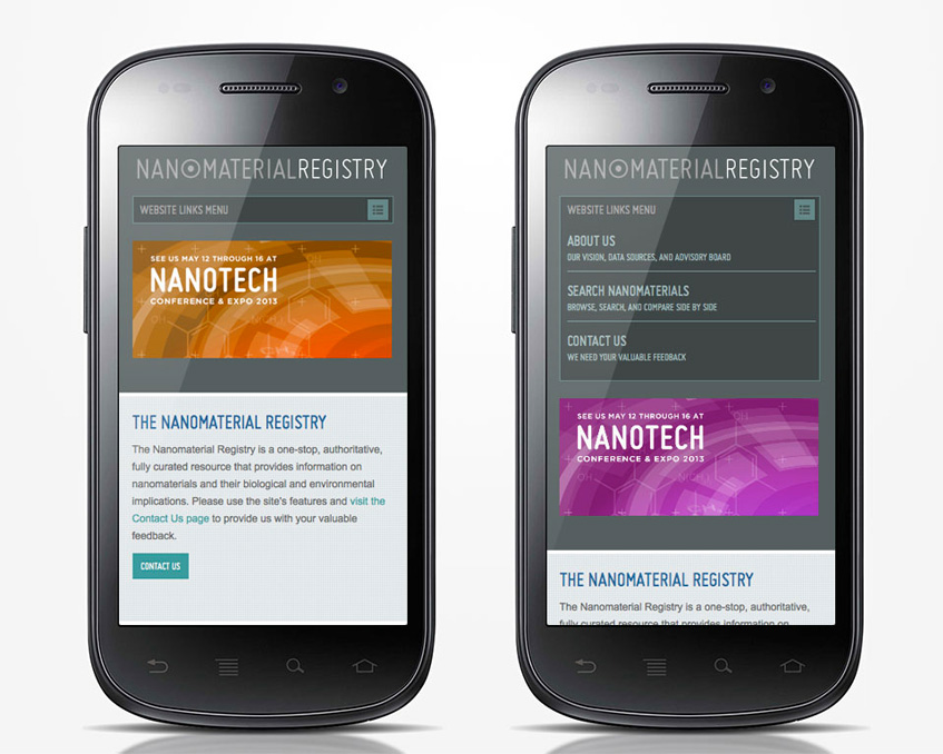 Nanomaterial Registry Landing